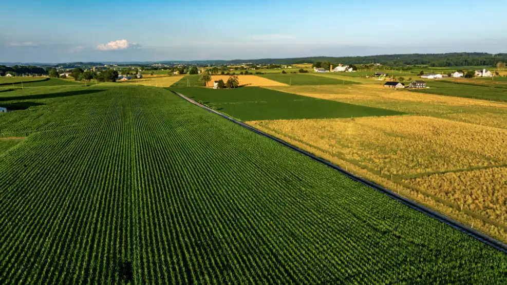 Agricultural field