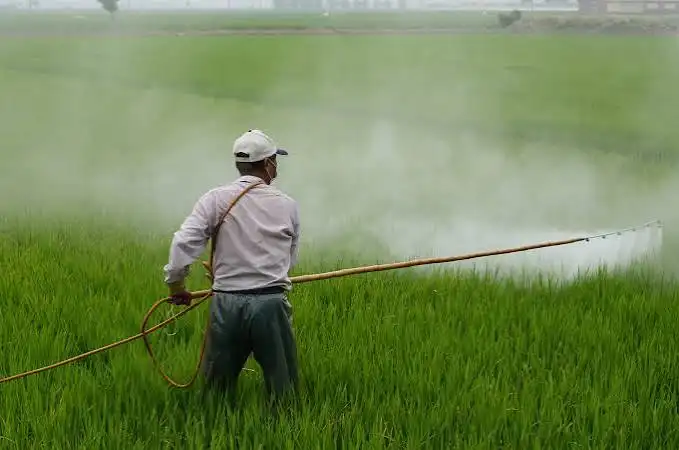 Insecticides
