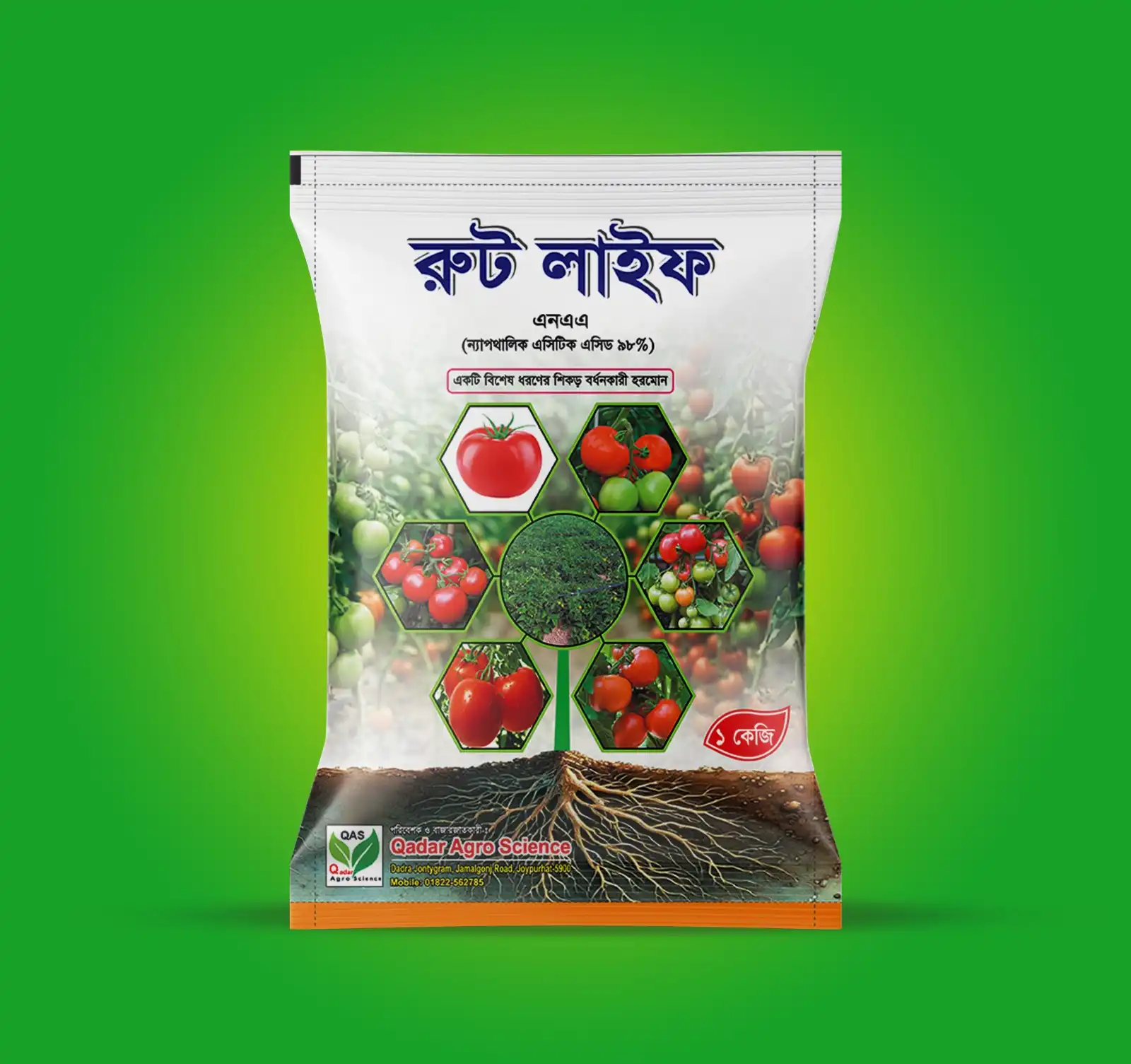 রুট লাইফ
